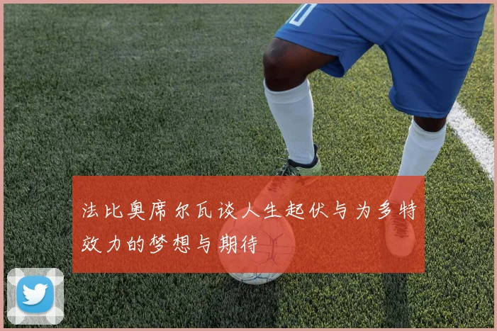 法比奥席尔瓦谈人生起伏与为多特效力的梦想与期待